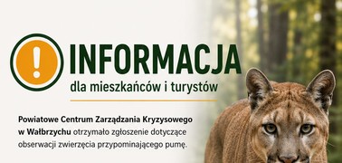Zgłoszenie dotyczące nieznanego zwierzęcia w rejonie Zagórza Śląskiego